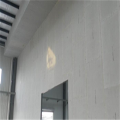 桐梓宁波ALC板|EPS加气板隔墙与混凝土整浇联接的实验研讨